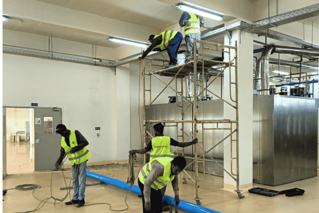 New Zealand Dairy Gas